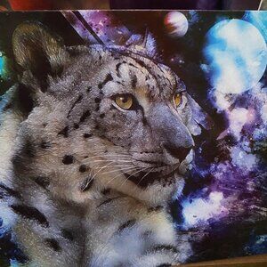 SALE! [Dax Finley Designs] Wildlife Cards -- Pack of 5 – GLOSSY